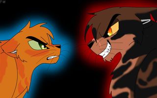 Warrior Cats- Are you Tigerstar or Firestar?