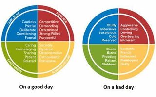 Discover Your Coding Personality (1)