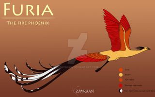 Which Phoenix Personality Are You? (1)