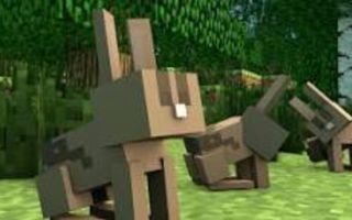 What MineCraft animal are you? (1)