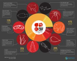 Endangered Species Types