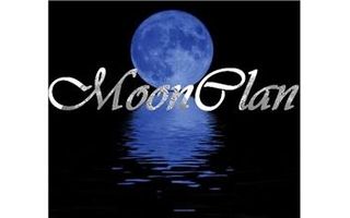 Warriors- Moonclans secrets: A new chance