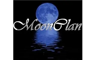 Warriors- Moonclans secrets: A new chance Warriors- Moonclans secrets: A new chance