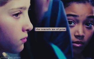 HUNGER GAMES FRIENDSHIP BETWEEN RUE AND PRIM