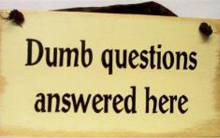 Dumb Questions to Ask