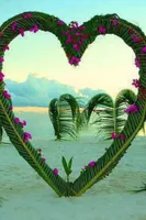 My One Direction Story My One Direction Story