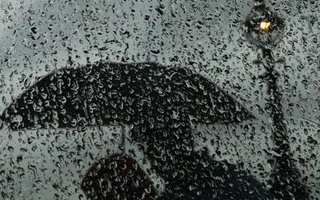 Standing In The Rain Standing In The Rain