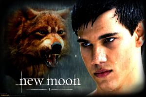 Silver Sky (Jacob Black Love Story)