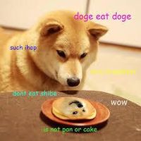 Doge