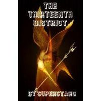 The Thirteenth District