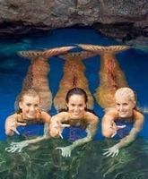 Mako Mermaids + Me