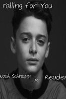 Falling For You|Noah Schnapp|{First Year}