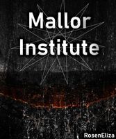 Mallor Institute