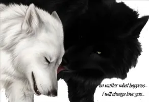 Wolf Heart Wolf Heart