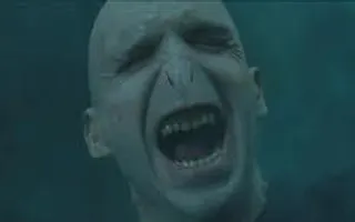 Voldemort's Birthday Party Voldemort's Birthday Party