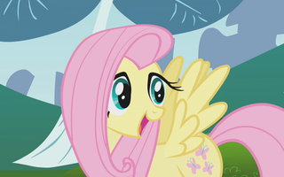 Fluttershy's trip