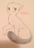 Shadow clan ~ She-Cat ~ Med cat apprentice ~ Softpaw