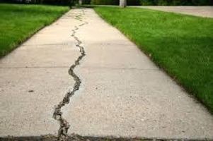 Cracks in the sidewalk