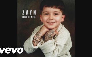 ZAYN - LIKE I WOULD (Audio)