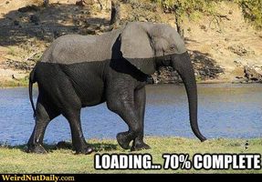 Funny Pictures @ WeirdNutDaily - Elephant Loading