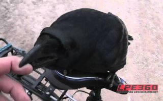 Pet crow on bicycle ride