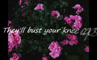 Pomplamoose - Bust Your Kneecaps | Lyrics