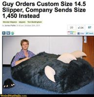 Funny Pictures @ WeirdNutDaily - Ginormous Bear Slipper