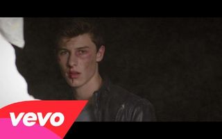 Shawn Mendes - Stitches (Official Video)