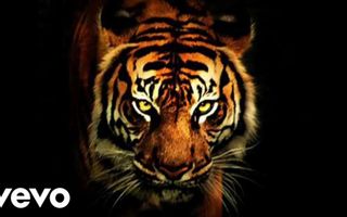 Survivor - Eye Of The Tiger (Audio)