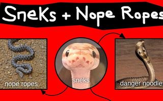 Nope Ropes, Sneks, & Danger Noodles