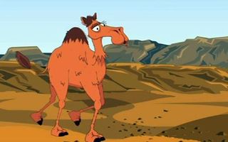 BBC - Learning Zone Class Clips - How are camels adapted to live in the desert? - Science Video