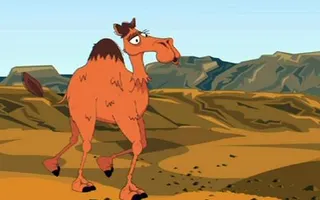 BBC - Learning Zone Class Clips - How are camels adapted to live in the desert? - Science Video BBC - Learning Zone Class Clips - How are camels adapted to live in the desert? - Science Video