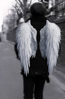 Angels (A V-Hope Fanfiction)