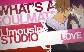 「LimS™」▸ WHAT´S A SOULMATE? - MEP