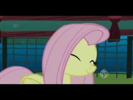 Fluttershy's Lament