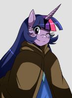 Time Skip MLP: Twilight Sparkle by ss2sonic on DeviantArt