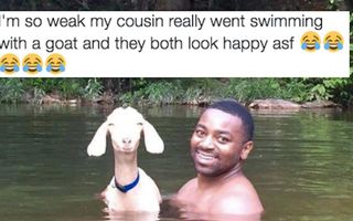 26 Pictures From 2016 That Will Make You Way Happier Than They Should