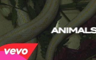 Maroon 5 - Animals (Lyric Video)