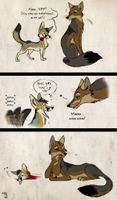 Kit Fox Tragedy by Culpeo-Fox on DeviantArt