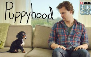 Puppyhood - YouTube