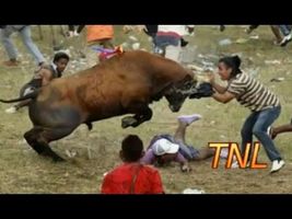 BEST FAILS OF 2014 Compilation || TNL