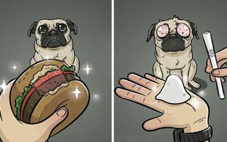 How Dogs See The World In 7 Funny Illustrations | Top 25s |