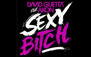 David Guetta ft Akon - Sexy Bitch (HQ)