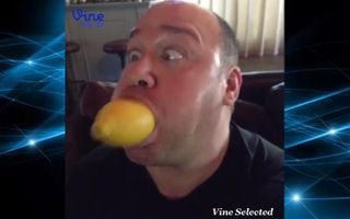 Will Sasso Vine Compilation (ALL VINES) # HD QUALITY ✔✔✔