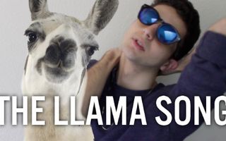 THE LLAMA SONG