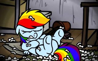 Rainbow Dash Presents: My Little Dashie