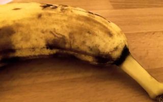 Spider bursts out of a Banana