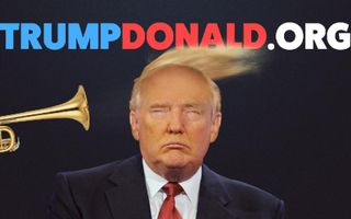 TrumpDonald.org