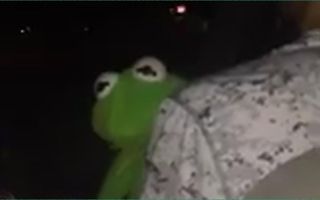 Kermit sings Usher Full Original Video (GOODBYE VINE)