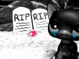 LPS: Sad Story~Silent Film~